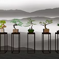 Multiple Bonsai Plants Display On Wooden Stands With Mountain Pattern Background 3d model