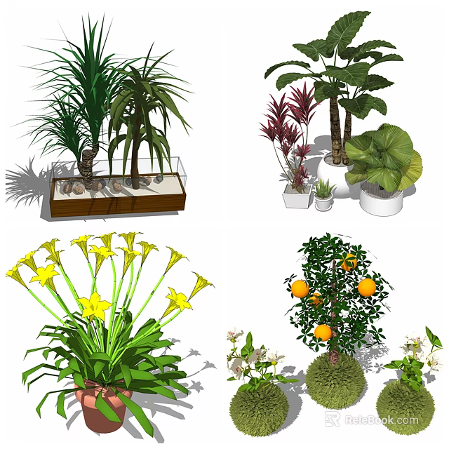 Bonsai Potted Plants Including Green Leafy Flowering and Fruit Trees in Decorative Pots 3d model 