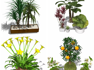 Bonsai Potted Plants Including Green Leafy Flowering and Fruit Trees in Decorative Pots 3d model