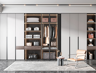 Modern wardrobe 3d model