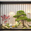 Bonsai Pine And Red Maple Plant Combination With Rocks Lighting And Vertical Panel Wall