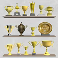 Golden Trophies And Medals With Various Designs On Display Shelves