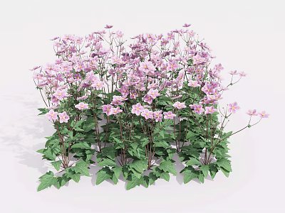 Blooming Pink Flowers With Lush Green Leaves In Natural Garden Setting 3d model