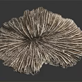 Modern Shi Zhi Shi Shi Shi Shi coral 3d model