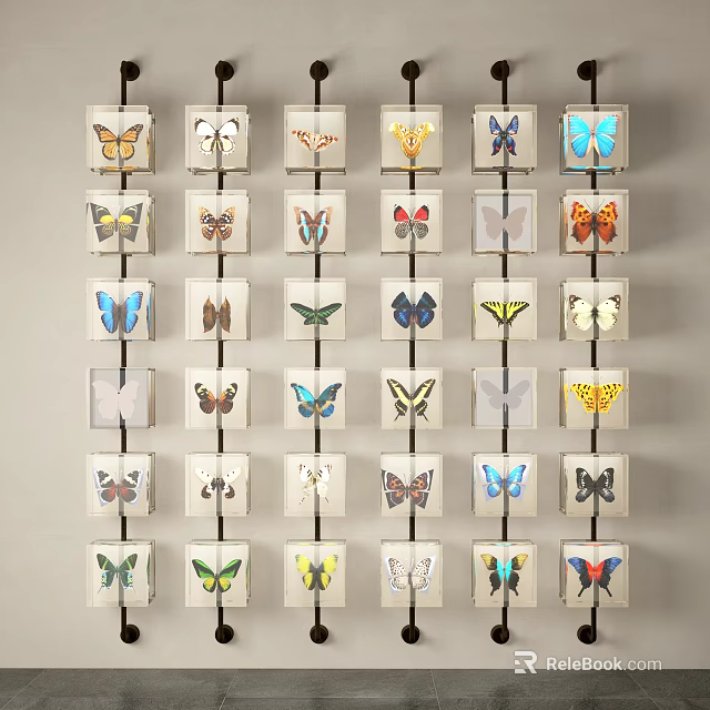 Colorful Framed Butterfly Specimens Animal Wall Decor With Varied Butterflies On Wall 3d model 