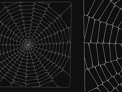Modern Black and White Spider Web Pattern Wall Decor Artwork Design Style 3d model
