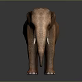 3D Elephant Model With Brown Skin Ivory Tusks And Dark Background Reflection 3d model
