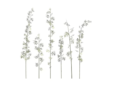 Graceful Bamboo Plants With Slender Stems And Delicate White Flowers 3d model