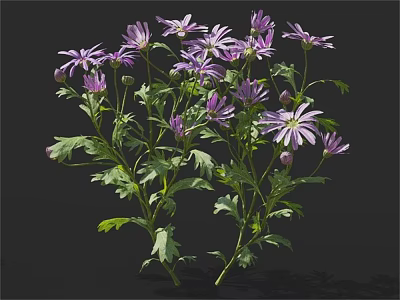 Blooming Purple Flowers With Green Leaves And Fresh Stems In Natural 3d model
