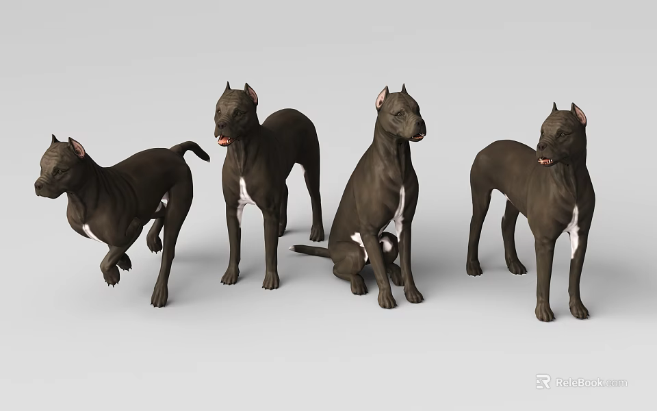 Black Dogs in Various Poses Standing Sitting and Walking with White Chest 3d model 