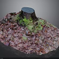 Green Plants Growing On Tree Stump Surrounded By Red Purple Fallen Leaves