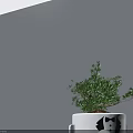 Bonsai Plant In White Decorative Pot With Cartoon Figure Design For Indoor Decor