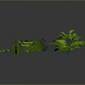 Various Green Plants With Different Leaf Shapes And Sizes In 3D Render 3d model