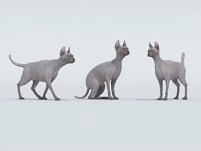 Three Gray Reptiles In Different Poses On White Background Studio 3d model