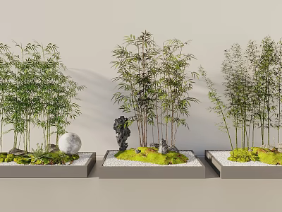 Bamboo Plants in Modern Planters with Decorative Stone Moss and White Pebbles Arrangement 3d model