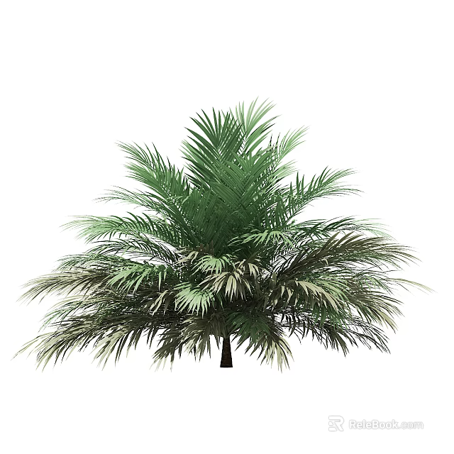 Lush Tropical Palm Tree With Green Fronds For Garden Landscaping 3d model 