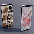 Two Mobile Phones With Screen Images Of Cats Cherry Blossoms And Water Droplets