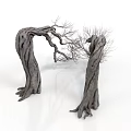 Natural Weathered Curved Tree Trunks With Leafless Branches And Exposed Roots