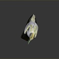 Booby Bird Seagull Tooth Seagull Carrier Pigeon Food Pigeon Play Pigeon Racing Pigeon Military Pigeon Experimental Pigeon 3d model