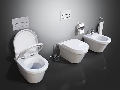 Modern White Wall Mounted Toilets With Toilet Paper Holder And Flush Plates 3d model