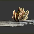 Vibrant Yellow Orange Ganoderma Plant With Fan Shaped Caps On Wooden Plank Against Dark Background