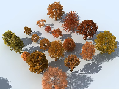 Colorful Diverse Autumn Trees Collection With Orange Red Yellow Green Foliage And Various Crown Shapes 3d model