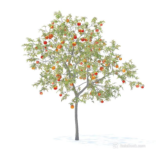 Lush Fruit Bearing Tree with Green Leaves and Red Ripe Fruits 3d model 