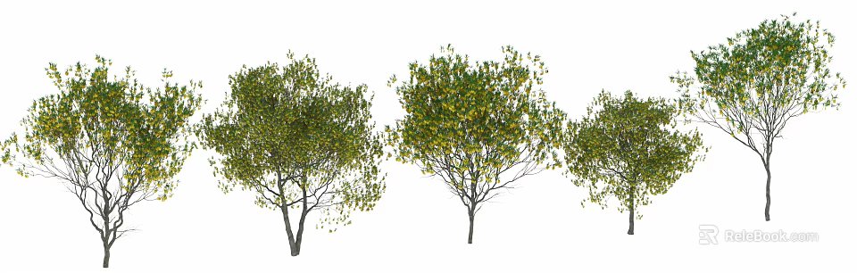 Lush Green And Yellow Leaf Trees With Natural Canopy And Healthy Trunk Structure 3d model 