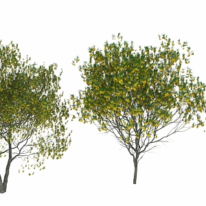 Tree Landscape Tree Flower Tree 3d model