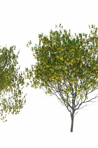 Tree Landscape Tree Flower Tree 3d model