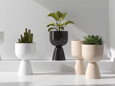 Stylish Potted Bonsai Plants With White Black Beige Tall Footed Pots On Bright White Shelf 3d model