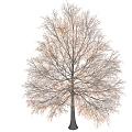 Modern Trees Trees 3d model