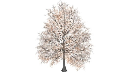 Modern Trees 3d model