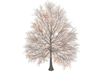 Modern Trees 3d model