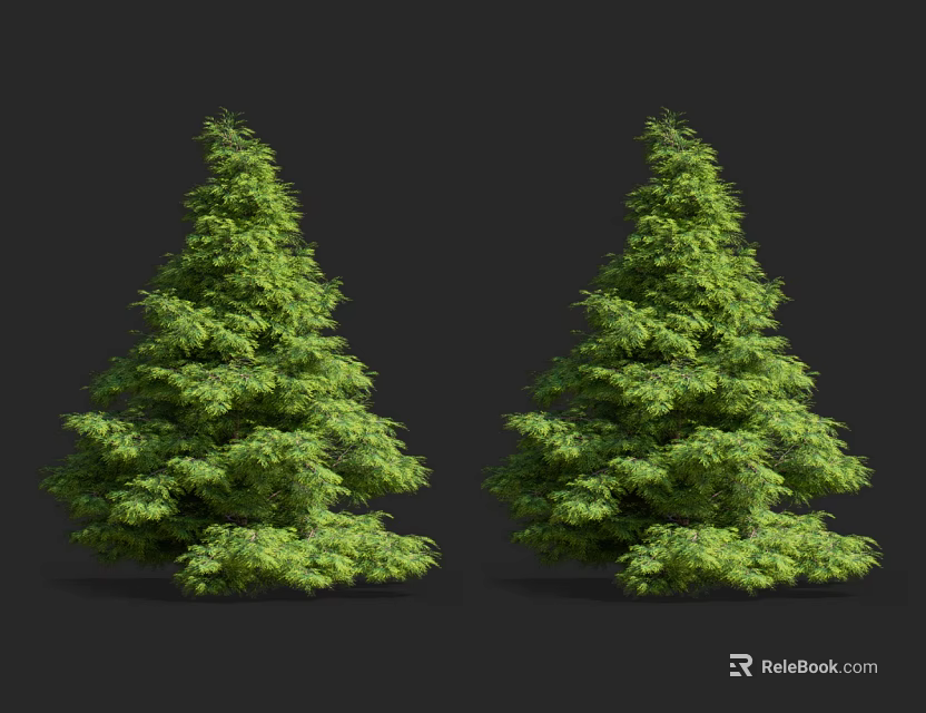 Two Lush Evergreen Trees With Dense Green Foliage Against Black Background 3d model 