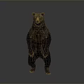 Standing Brown Bear in Upright Posture Isolated on Gray Background with Realistic Details
