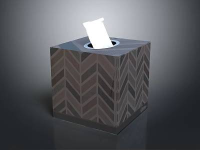 Square Chevron Pattern Tissue Box With Exposed White Tissue Paper 3d model