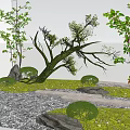 Modern Garden Decor With Curved Trees Trimmed Shrubs Stone Paths Gravel And Mossy Areas