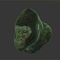 Detailed Gorilla Head 3D Model With Realistic Fur And Textures
