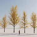 Golden Leaf Arbor Trees With Person Standing Under Blue Sky And Snowy Ground
