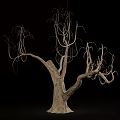 Dry Leafless Trees With Twisted Branches And Exposed Roots In Various Shapes 3d model
