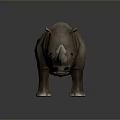 Realistic Rhinoceros 3D Model With Single Horn And Grayish Brown Skin Standing Pose