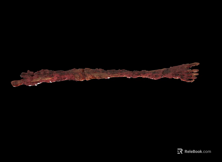 Scientist Observing Red Brown Elongated Creature With Rough Surface Texture 3d model