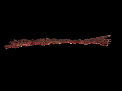 Scientist Observing Red Brown Elongated Creature With Rough Surface Texture 3d model