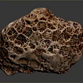 Brown Sea Sponge With Honeycomb Like Pores On Dark Background
