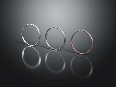 Three Circular Metallic Ornament Decor Set With Silver Copper Tones And Reflections 3d model