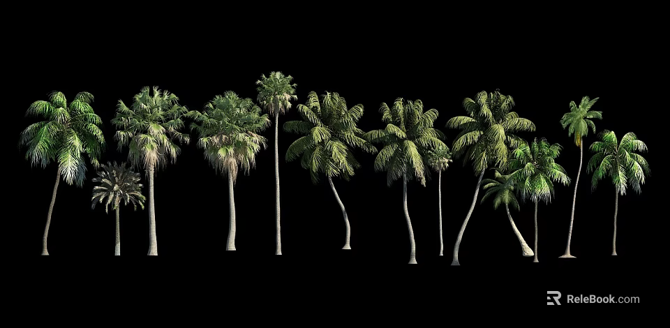 Arbor Trees In Row With Green Fronds And Various Curved Trunks On Black Background 3d model 