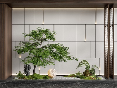 Indoor landscape landscaping courtyard sketch plant pile landscape tree plant combination maple 3d model