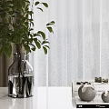 Green Leafy Plants in Transparent Vase on White Table with Curtain and Decorative Books