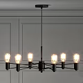 Modern Chandelier With Metal Frame And Glass Bulbs In Paneled Wall Interior
